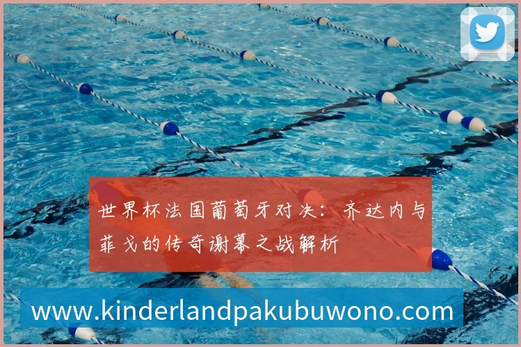 世界杯法国葡萄牙对决：齐达内与菲戈的传奇谢幕之战解析