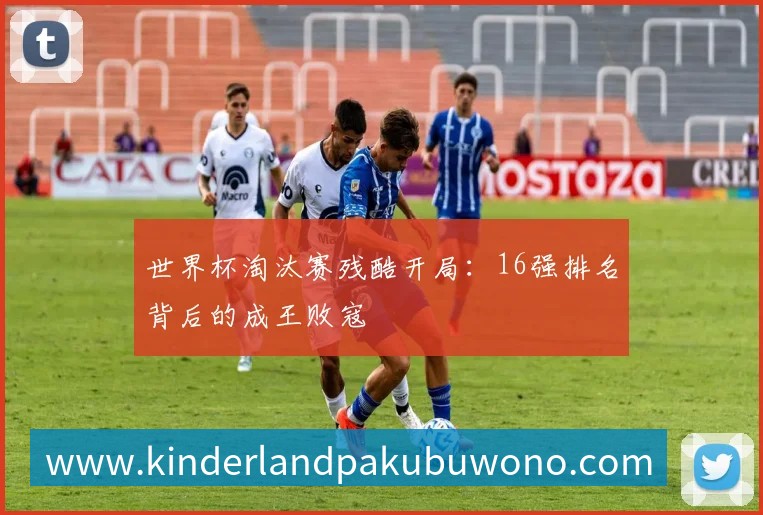 登录器