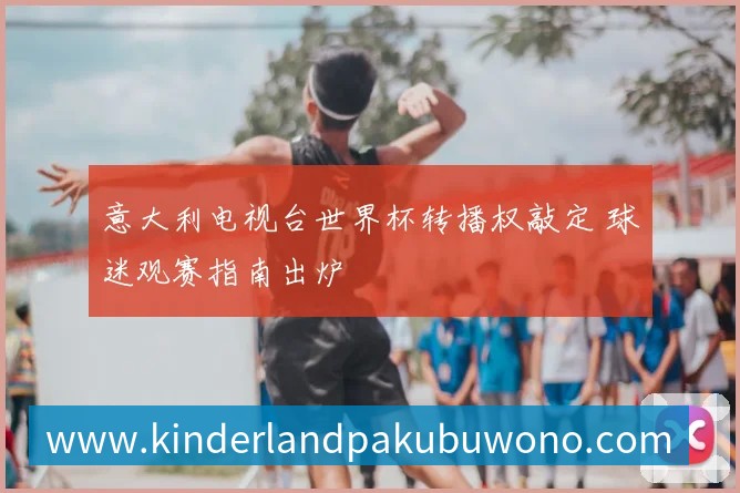 意大利电视台世界杯转播权敲定 球迷观赛指南出炉