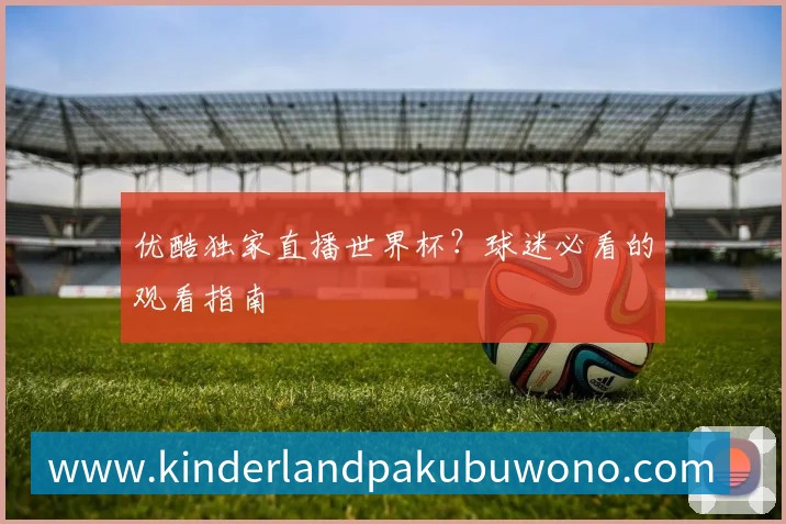 优酷独家直播世界杯？球迷必看的观看指南